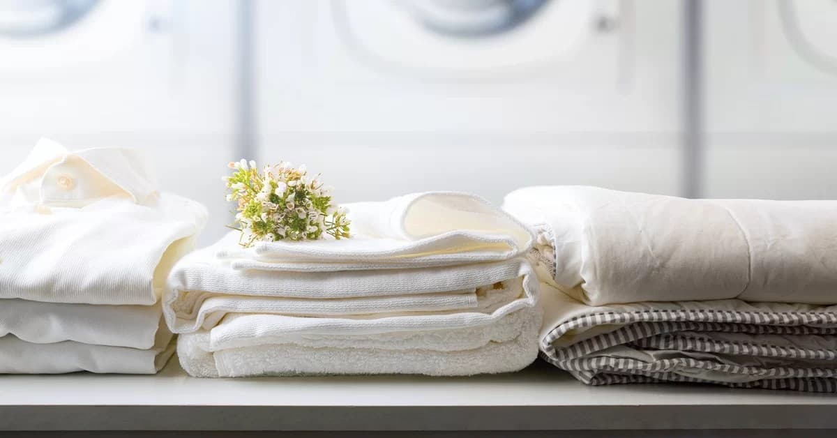 9 Reasons To Use Laundry Pickup and Delivery Services