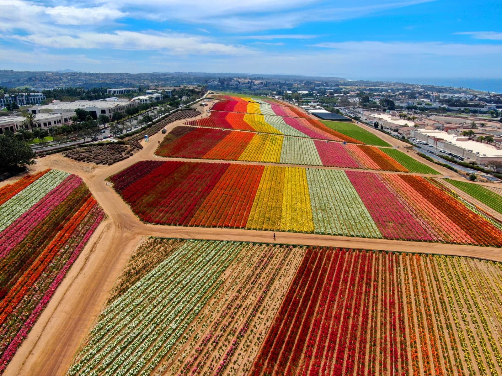How to Get Grass Stains, Sunscreen, and Spring Dirt Out of Kids' Clothes